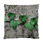 Vine On Damaged Wall Photo Standard Cushion Case (One Side) Front