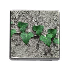 Vine On Damaged Wall Photo Memory Card Reader (square 5 Slot) by dflcprintsclothing