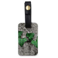 Vine On Damaged Wall Photo Luggage Tag (one Side) by dflcprintsclothing