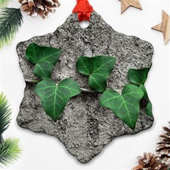 Vine On Damaged Wall Photo Ornament (snowflake)