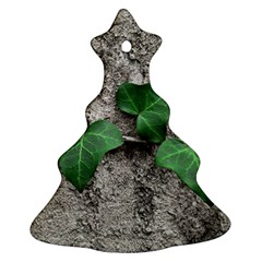 Vine On Damaged Wall Photo Ornament (christmas Tree)  by dflcprintsclothing