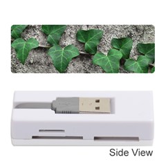 Vine On Damaged Wall Photo Memory Card Reader (stick)