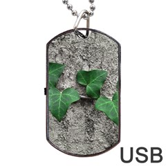 Vine On Damaged Wall Photo Dog Tag Usb Flash (two Sides)