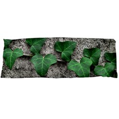 Vine On Damaged Wall Photo Body Pillow Case Dakimakura (two Sides) by dflcprintsclothing