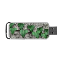 Vine On Damaged Wall Photo Portable Usb Flash (two Sides) by dflcprintsclothing