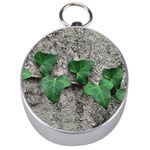 Vine On Damaged Wall Photo Silver Compasses Front