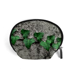 Vine On Damaged Wall Photo Accessory Pouch (small)