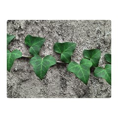 Vine On Damaged Wall Photo Double Sided Flano Blanket (mini)  by dflcprintsclothing