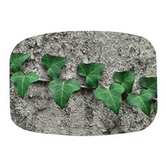 Vine On Damaged Wall Photo Mini Square Pill Box by dflcprintsclothing