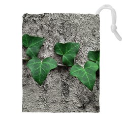 Vine On Damaged Wall Photo Drawstring Pouch (4xl) by dflcprintsclothing