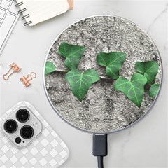 Vine On Damaged Wall Photo Wireless Charger by dflcprintsclothing