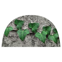 Vine On Damaged Wall Photo Anti Scalding Pot Cap by dflcprintsclothing