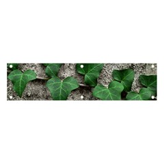 Vine On Damaged Wall Photo Banner And Sign 4  X 1  by dflcprintsclothing