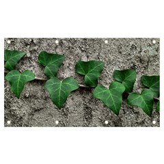 Vine On Damaged Wall Photo Banner And Sign 7  X 4  by dflcprintsclothing