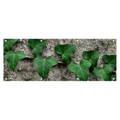 Vine On Damaged Wall Photo Banner And Sign 8  X 3  by dflcprintsclothing