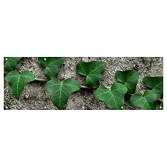 Vine On Damaged Wall Photo Banner And Sign 12  X 4  by dflcprintsclothing