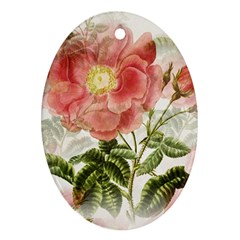 Flowers Vintage Background Retro Floral Stem Ornament (oval)