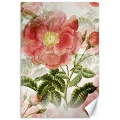 Flowers Vintage Background Retro Floral Stem Canvas 20  X 30  by Wegoenart