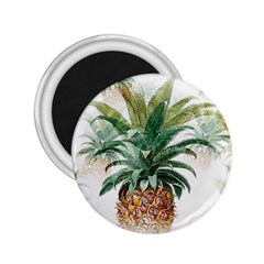 Pineapple Pattern Background Seamless Vintage 2 25  Magnets by Wegoenart