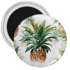 Pineapple Pattern Background Seamless Vintage 3  Magnets by Wegoenart