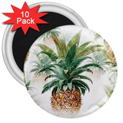 Pineapple Pattern Background Seamless Vintage 3  Magnets (10 Pack)  by Wegoenart