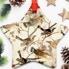 Birds Perched Birds Pattern Design Seamless Star Ornament (two Sides) by Wegoenart