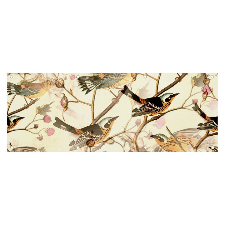 Birds Perched Birds Pattern Design Seamless Banner and Sign 8  x 3 