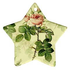 Roses Flowers Vintage Pattern Retro Floral Stem Star Ornament (two Sides)