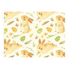 Cute Rabbits - Easter Spirit  Double Sided Flano Blanket (mini)  by ConteMonfrey