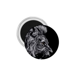 Roar Angry Male Lion Black 1 75  Magnets by danenraven