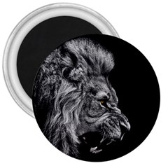 Roar Angry Male Lion Black 3  Magnets by danenraven