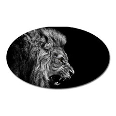 Roar Angry Male Lion Black Oval Magnet by danenraven