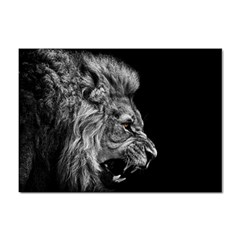 Roar Angry Male Lion Black Sticker A4 (100 Pack) by danenraven