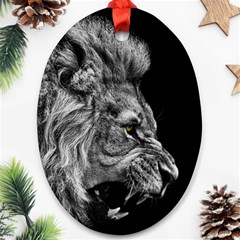 Roar Angry Male Lion Black Oval Ornament (two Sides) by danenraven