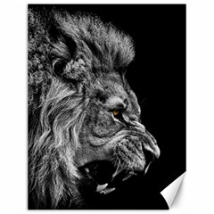 Roar Angry Male Lion Black Canvas 12  X 16  by danenraven