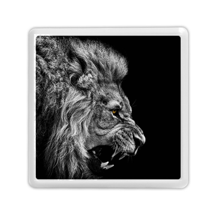 Roar Angry Male Lion Black Memory Card Reader (Square)