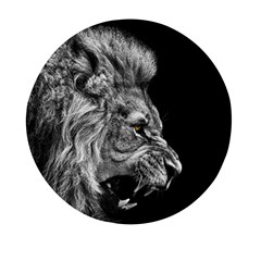 Roar Angry Male Lion Black Mini Round Pill Box (pack Of 3) by danenraven