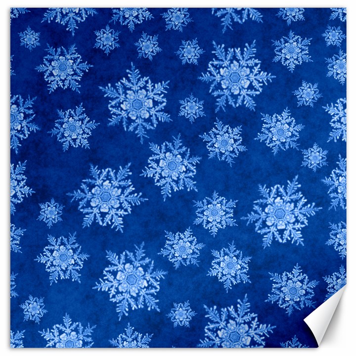 Snowflakes And Star Patterns Blue Snow Canvas 12  x 12 