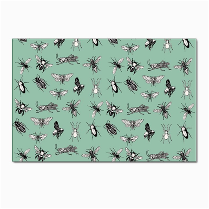 Insects pattern Postcards 5  x 7  (Pkg of 10)