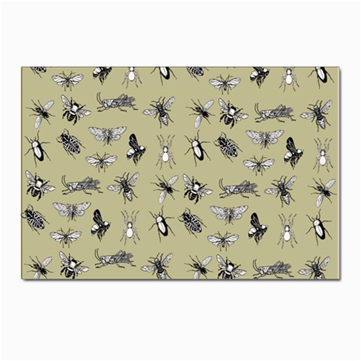 Insects pattern Postcards 5  x 7  (Pkg of 10)