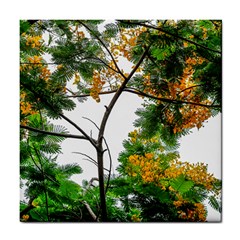 Tree Sunlight Forest Nature Landscape Sunrise Fog Tile Coaster by danenraven