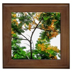 Tree Sunlight Forest Nature Landscape Sunrise Fog Framed Tile by danenraven