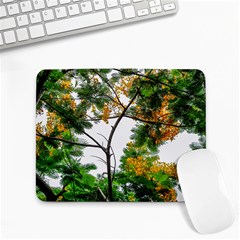 Tree Sunlight Forest Nature Landscape Sunrise Fog Small Mousepad by danenraven