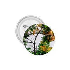 Tree Sunlight Forest Nature Landscape Sunrise Fog 1 75  Buttons by danenraven