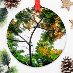 Tree Sunlight Forest Nature Landscape Sunrise Fog Ornament (round) by danenraven