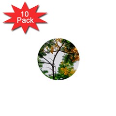 Tree Sunlight Forest Nature Landscape Sunrise Fog 1  Mini Buttons (10 Pack)  by danenraven