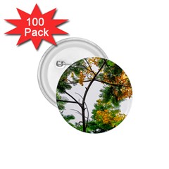 Tree Sunlight Forest Nature Landscape Sunrise Fog 1 75  Buttons (100 Pack)  by danenraven