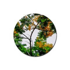 Tree Sunlight Forest Nature Landscape Sunrise Fog Rubber Coaster (round) by danenraven