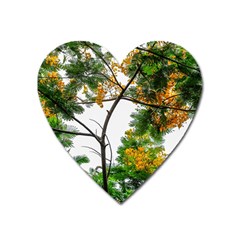 Tree Sunlight Forest Nature Landscape Sunrise Fog Heart Magnet by danenraven