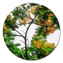 Tree Sunlight Forest Nature Landscape Sunrise Fog Magnet 5  (round) by danenraven